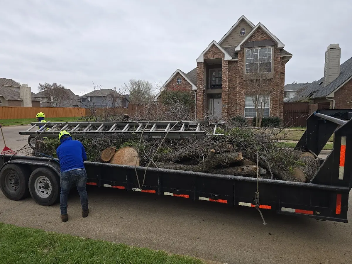 Expert Lot Clearing with proper safety equipment in Ferriday